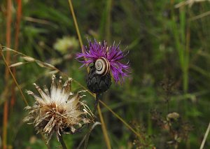 Am Boden und in der Luft