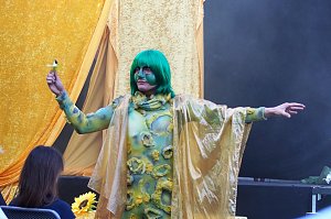 Ein Sommernachtstraum