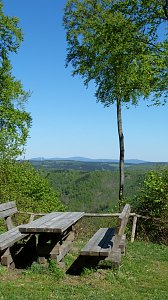 Wunderschöner Harz
