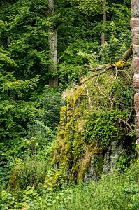 Ausflug zur Burgrunie Hohnstein