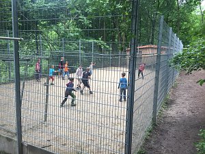 Erlebnisreiche Tage im Schneckenhengst