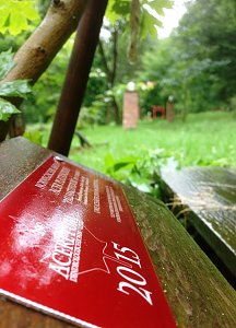 Auch im Regen schön: Der Ahornpark in Ilfeld