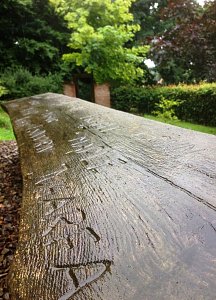 Auch im Regen schön: Der Ahornpark in Ilfeld