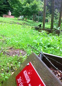 Auch im Regen schön: Der Ahornpark in Ilfeld
