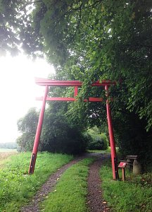 Auch im Regen schön: Der Ahornpark in Ilfeld