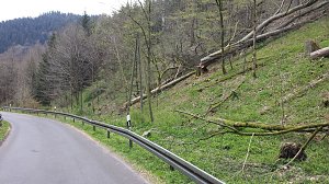 Naturschutz im Schumannstal