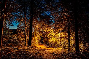 Abendspaziergang bei Bleicherode