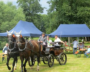 Park- und Seerosenfest in Werna
