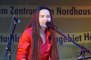 23.Altstadtfest