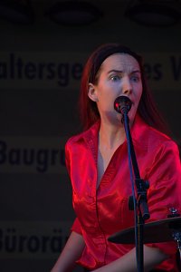Altstadtfest 2017