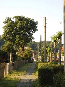 Wie soll k&uuml;nftig die B4 aussehen?
