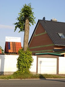 Wie soll k&uuml;nftig die B4 aussehen?