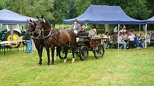Park- und Seerosenfest in Werna
