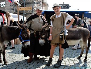 Mittelalter in Bad Langesalza