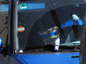 Ordnung schaffen auf dem August-Bebel-Platz