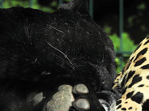 Zu Gast im Tierpark Dessau