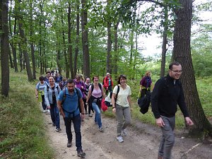 Auf zur Burg Regenstein!