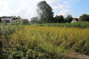 Tag der offenen T&uuml;r in der Werkstatt der Lebenshilfe in Klettenberg