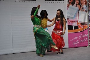 Multi-Kulti in der S&uuml;dharzgalerie