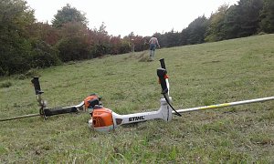 F&uuml;r Bienen-Ragwurz und Spargelerbse