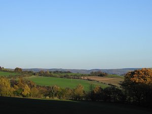 Pilze und Sonne bei Petersdorf
