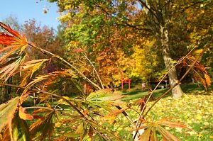 Herbstliche Sonne 