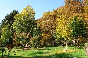 Herbstliche Sonne 