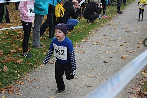 24. Stadtparklauf in Sondershausen (1)
