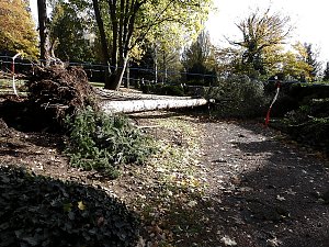 Aufr&auml;umarbeiten auf dem Hauptfriedhof