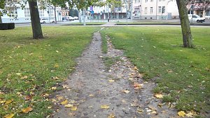 Bis Jahresende will Sachgebietsleiter  Steffen Meyer diesen Trampelpfad beseitigen.
