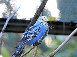 Peter Blei im B&auml;renpark Worbis