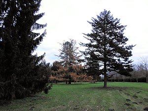 Abstecher in den W&ouml;rlitzer Park