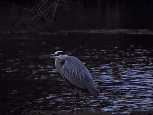 Abstecher in den W&ouml;rlitzer Park