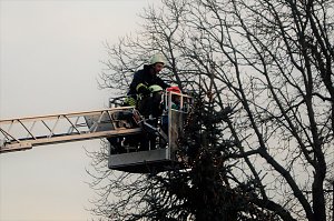 Weihnachtsmarkt Wolkramshausen