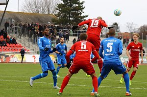 Germania Halberstadt - Wacker Nordhausen 0:0