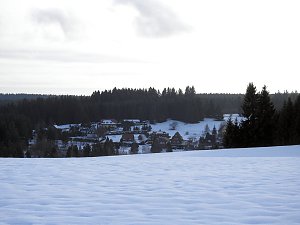 Der Harz taut...