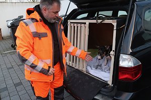 Rettungshundestaffel im Einsatz am S&uuml;dharz-Klinikum