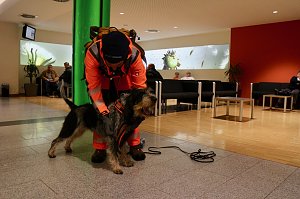 Rettungshundestaffel im Einsatz am S&uuml;dharz-Klinikum