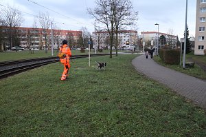 Rettungshundestaffel im Einsatz am S&uuml;dharz-Klinikum