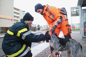Rettungshundestaffel im Einsatz am S&uuml;dharz-Klinikum