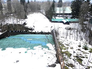 Schlittenhunde rennen rund um Benneckenstein