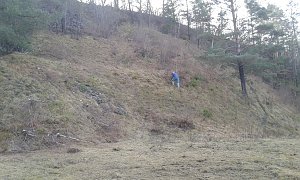 S&auml;gen f&uuml;r die Kuhschelle