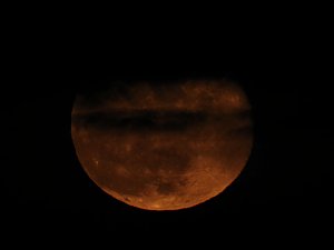 nnz-Leserfoto