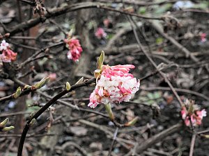 Interessanter Rundgang im Stadtpark