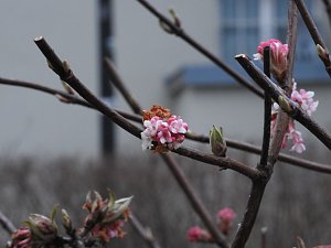 Interessanter Rundgang im Stadtpark
