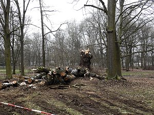 Interessanter Rundgang im Stadtpark