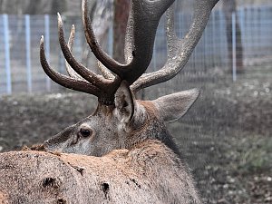 Interessanter Rundgang im Stadtpark