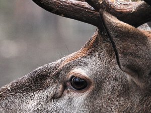Interessanter Rundgang im Stadtpark