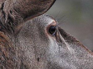 Interessanter Rundgang im Stadtpark