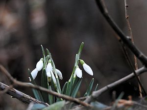 Interessanter Rundgang im Stadtpark